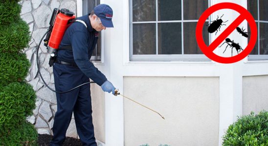 Germencik Dezenfeksiyon böcek ilaçlama ve haşere kontrolü — ilaclama-tr.com
